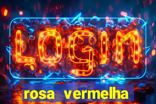 rosa vermelha (letra e cifra)